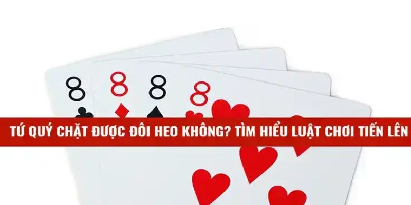 Tìm hiểu tứ quý là gì