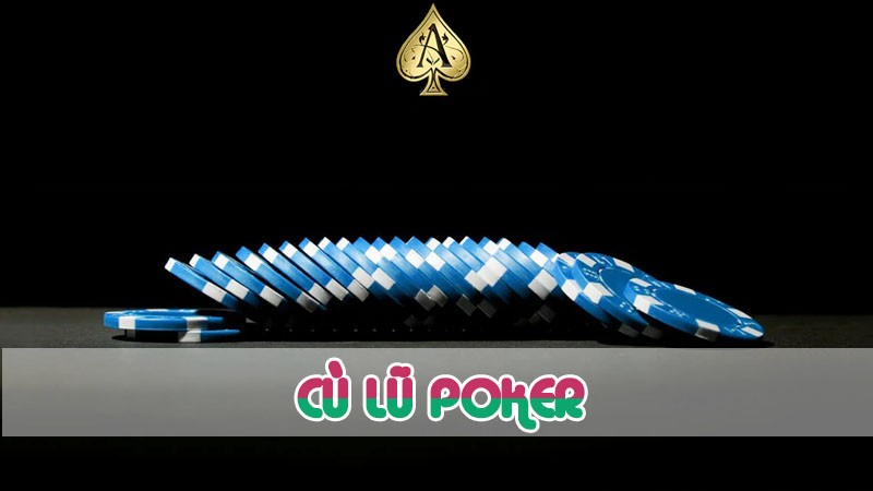 cù lũ poker khám phá chi tiết 2024