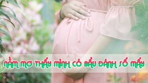 nằm mơ thấy mình có bầu đánh số mấy 2024