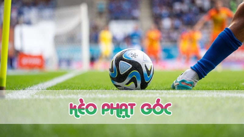 kèo phạt góc alf gì 2024